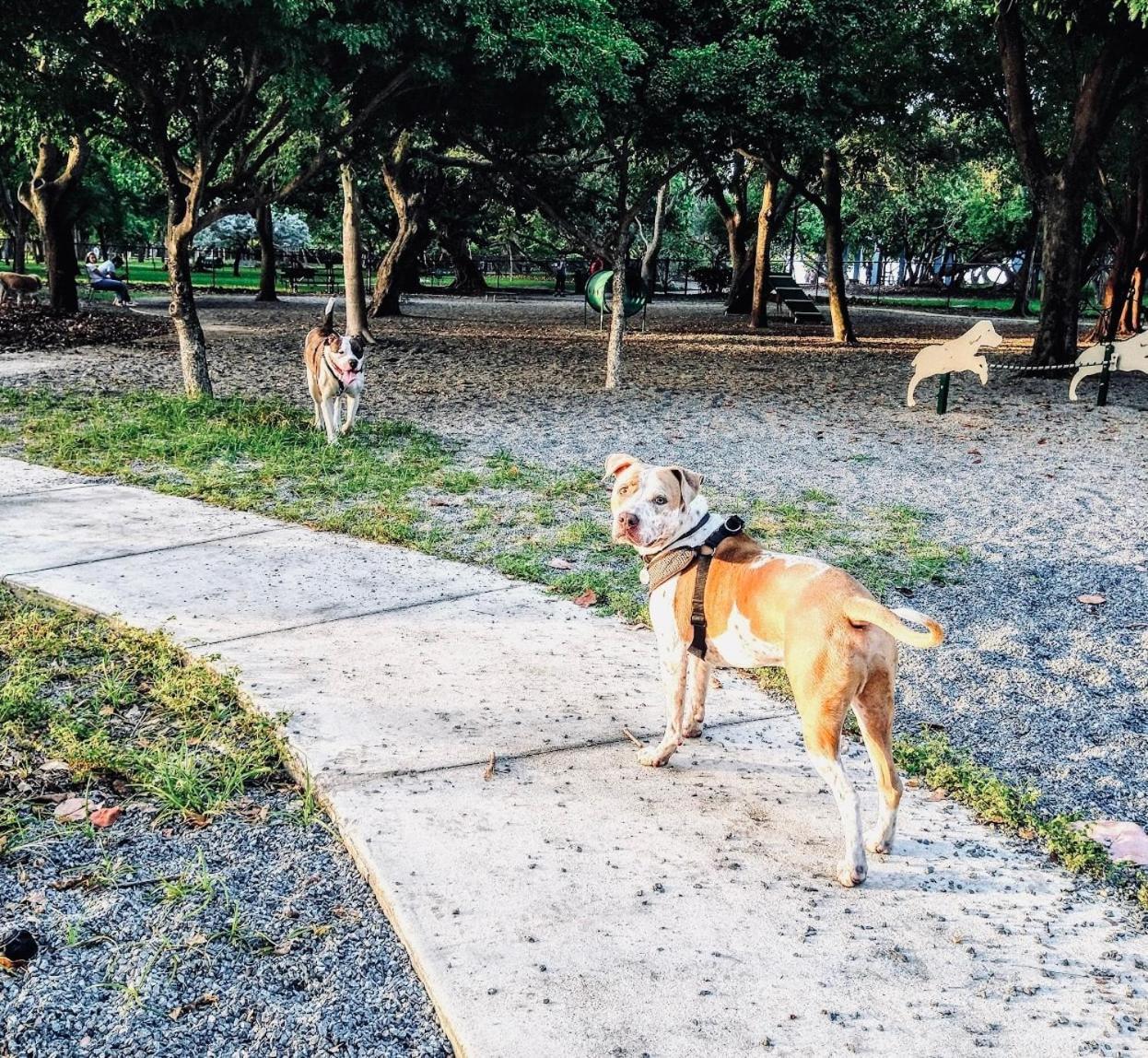Miami Beach Apartment With Private Patio Free Parking Family Friendly No Pet Fee Ngoại thất bức ảnh